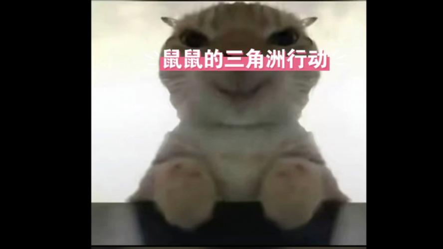 商品